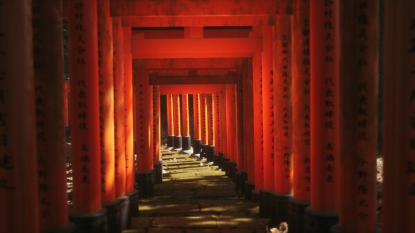 Lushfoil Photography Sim screenshot 2