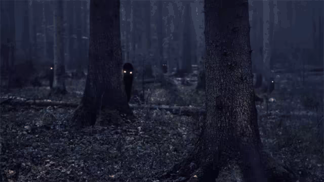 Magurele Mystery video 1