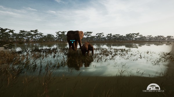 THE GREAT CIRCLE screenshot 5