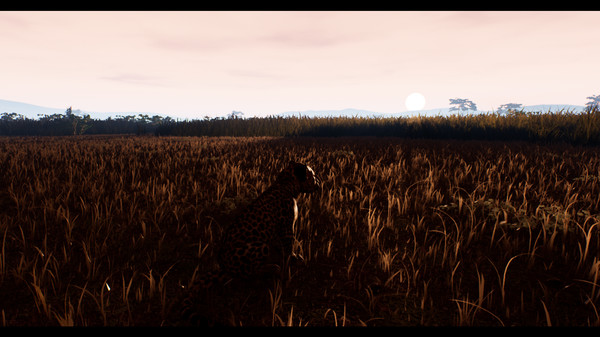 THE GREAT CIRCLE screenshot 6