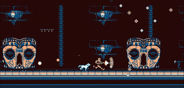 Wild Dogs video 10