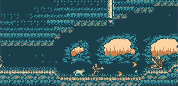 Wild Dogs video 2