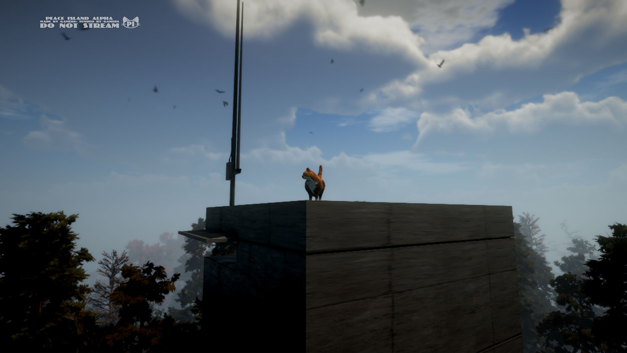 Peace Island screenshot #8