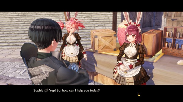 Atelier Sophie 2 - Sophie/Plachta/Ramizel/Alette's Costume "Bunny-Eared Salesgirl"