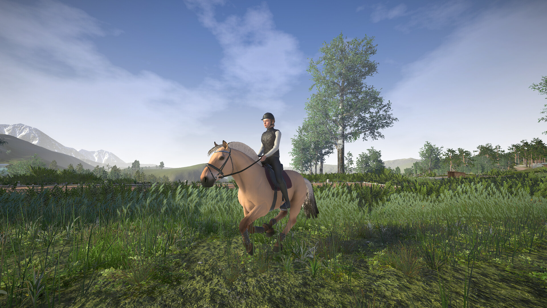 Astride screenshot #25