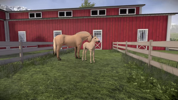 Astride video 3