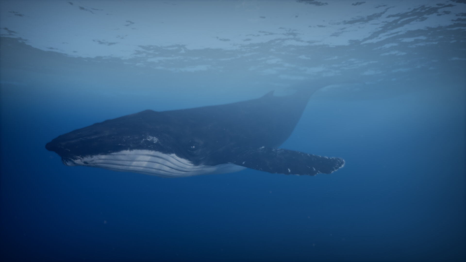 Away From Life screenshot 6