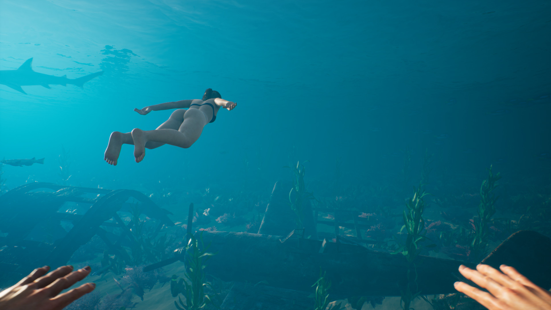 Top 10 Tips and Tricks