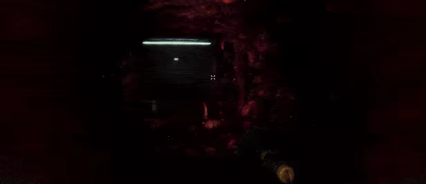 Unsafe Express video 10