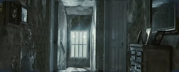 ILL video 1