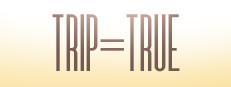 trip=true game cover