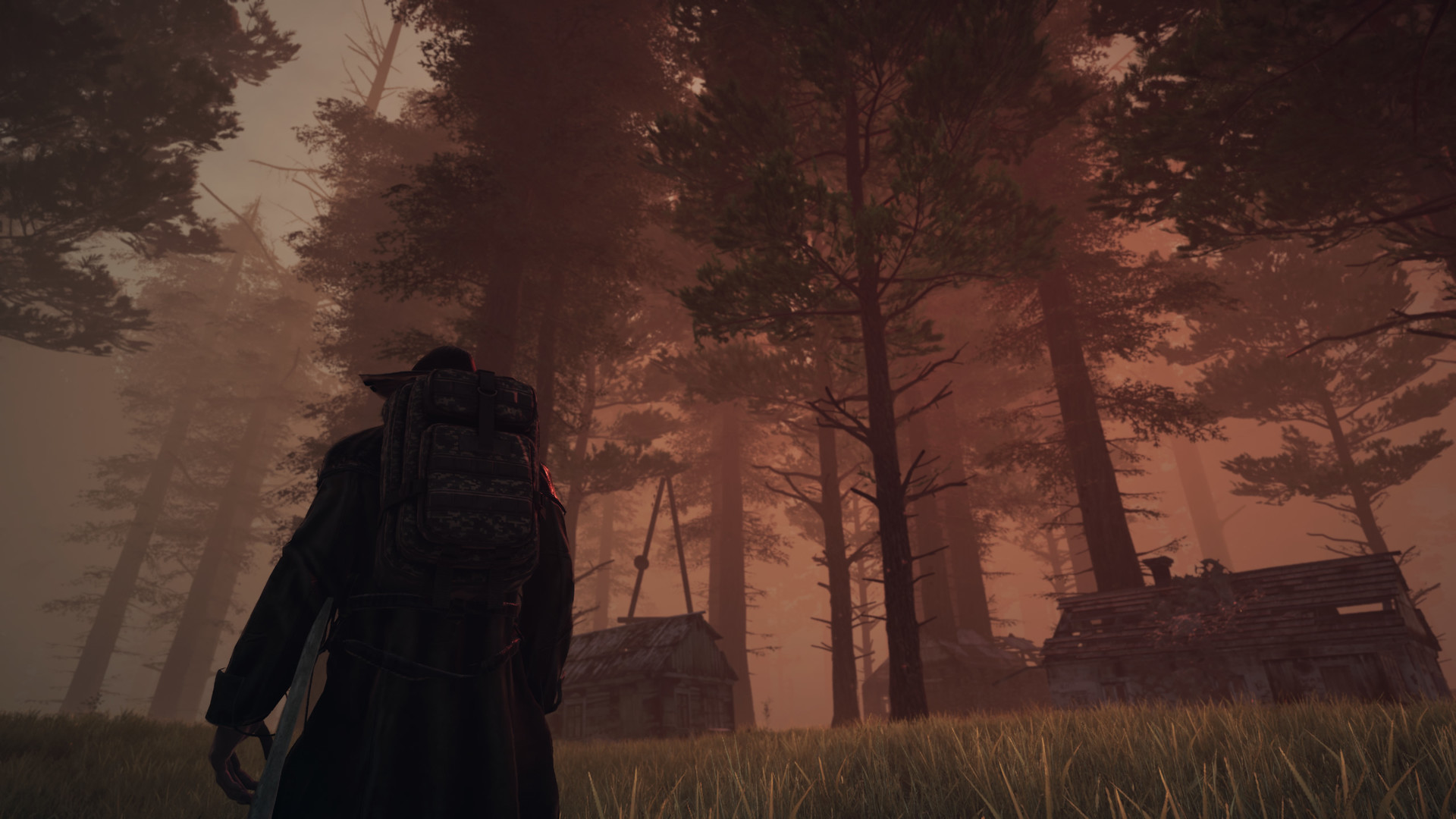 Paragrowth screenshot #4