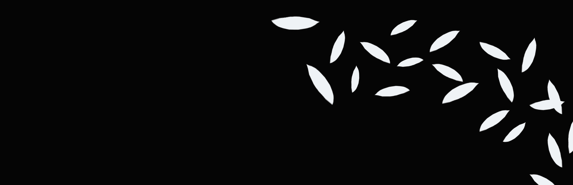 Echo - An Indie Tale