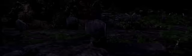 Tranquil Cove video 2