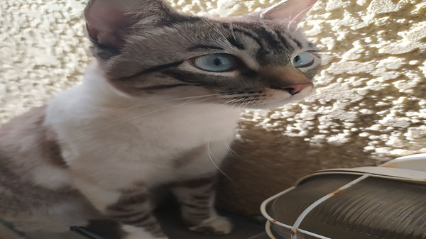 Heatris screenshot 1