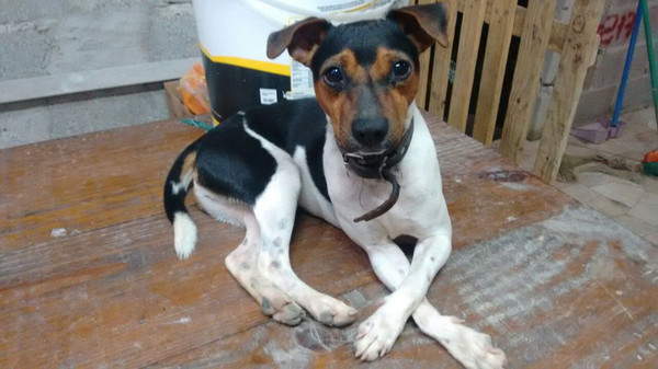 Heatris screenshot 6