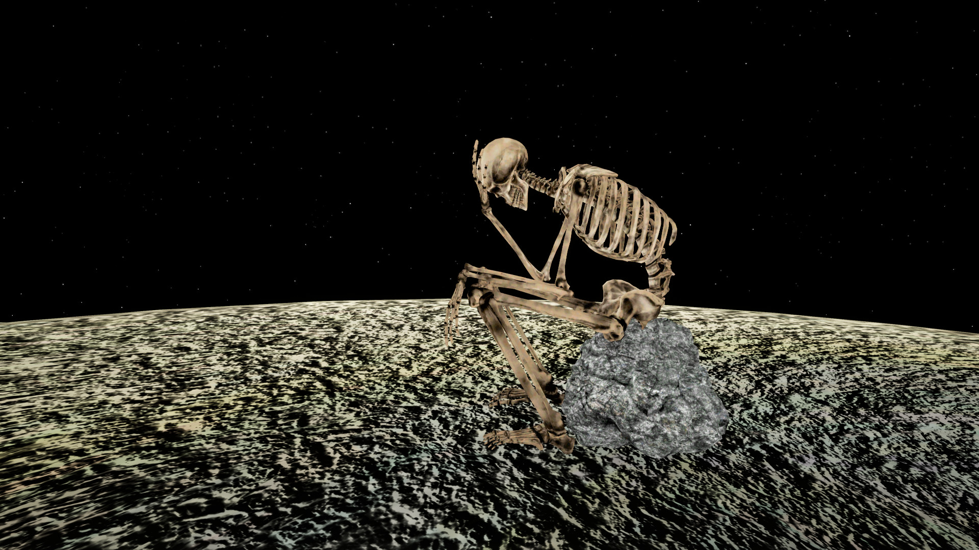 Meet PIP screenshot screenshot 10