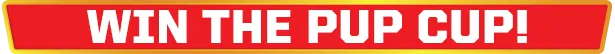 PAW Patrol: Grand Prix image
