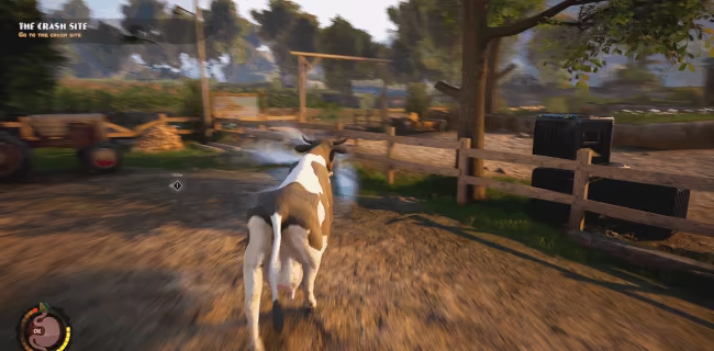 Quiet Farm video 4