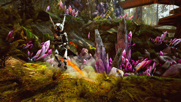 LEAP: Founder's Edition