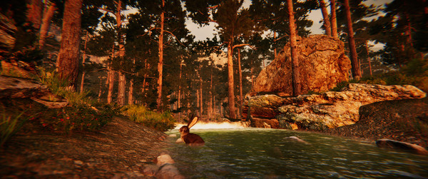 Animal Simulatorfor windows and Linux 1