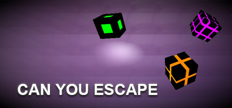 Can You Escape cover image