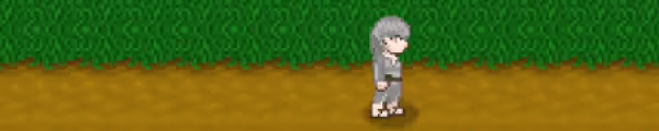 Touhou Adventure video 5