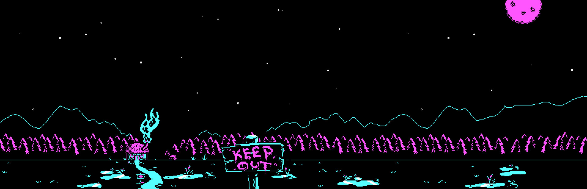 Bog Witch