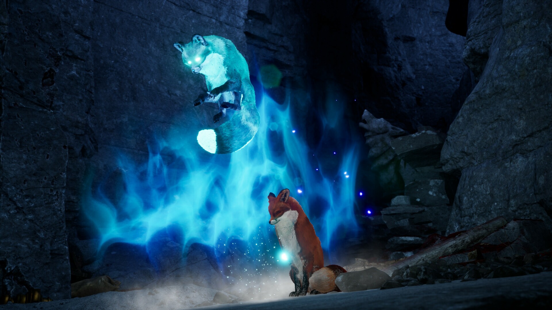 Spirit of the North 2 – Screenshot 1
