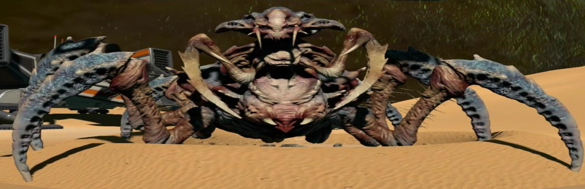 Bugs From Space