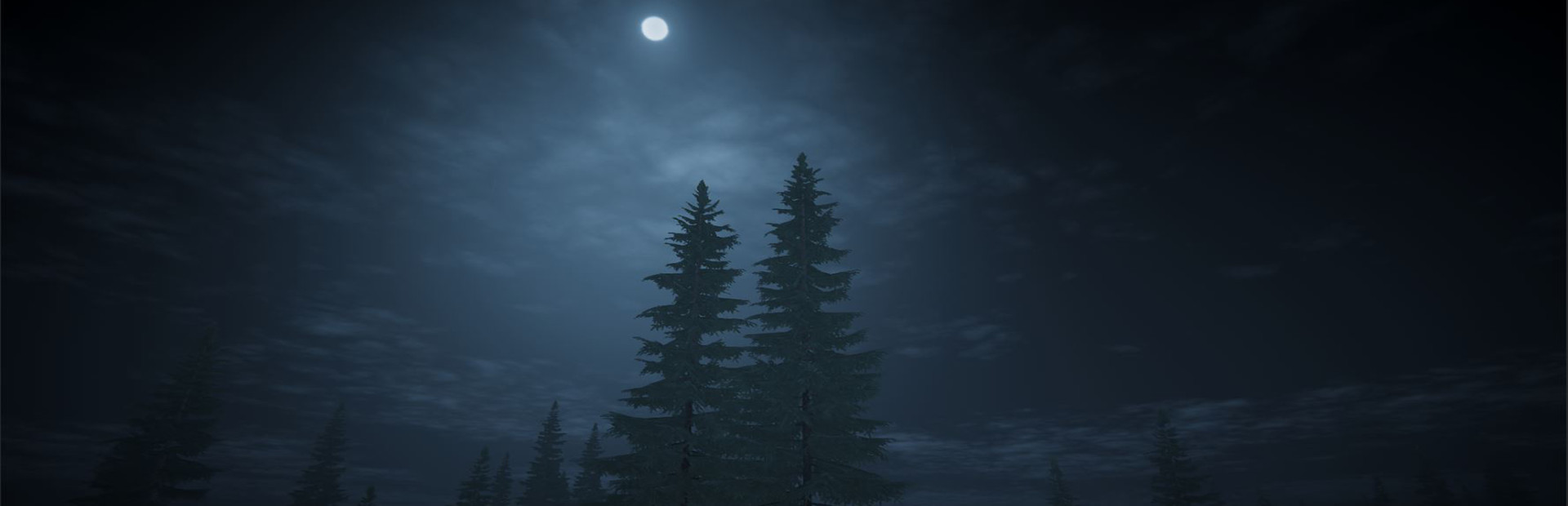 Play Outside Simulator