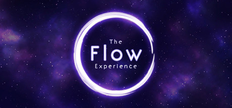 The Flow Experience Cover Image