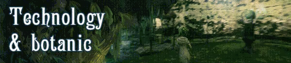 Essence Of The Tjikko - Prologue video 3