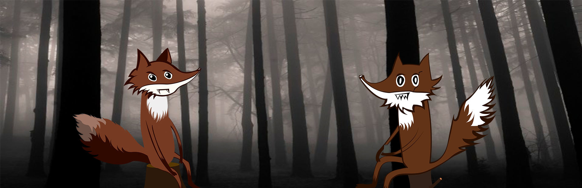 Adventures Of Two Foxes