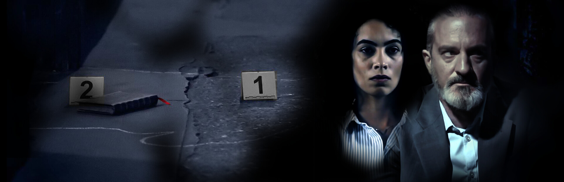 French Crime Detective Game