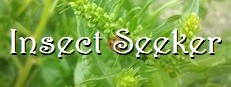 Insect Seeker