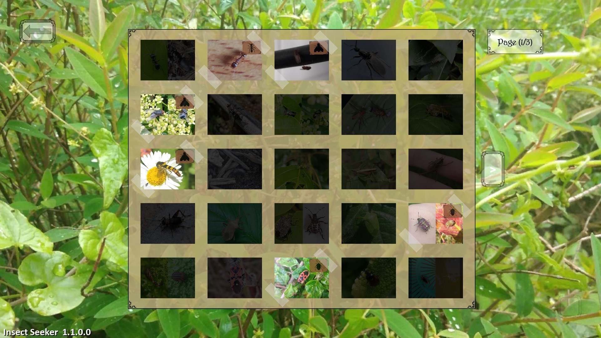 Insect Seeker screenshot #5