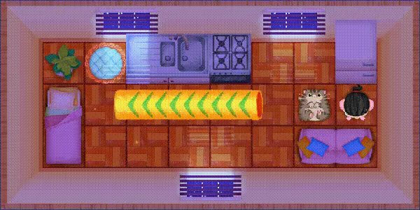 Roll The Cat video 3
