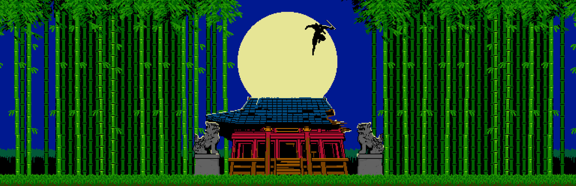 SHINOBI NON GRATA
