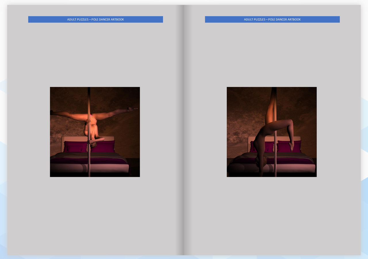 Adult Puzzles - Pole Dancer ArtBook