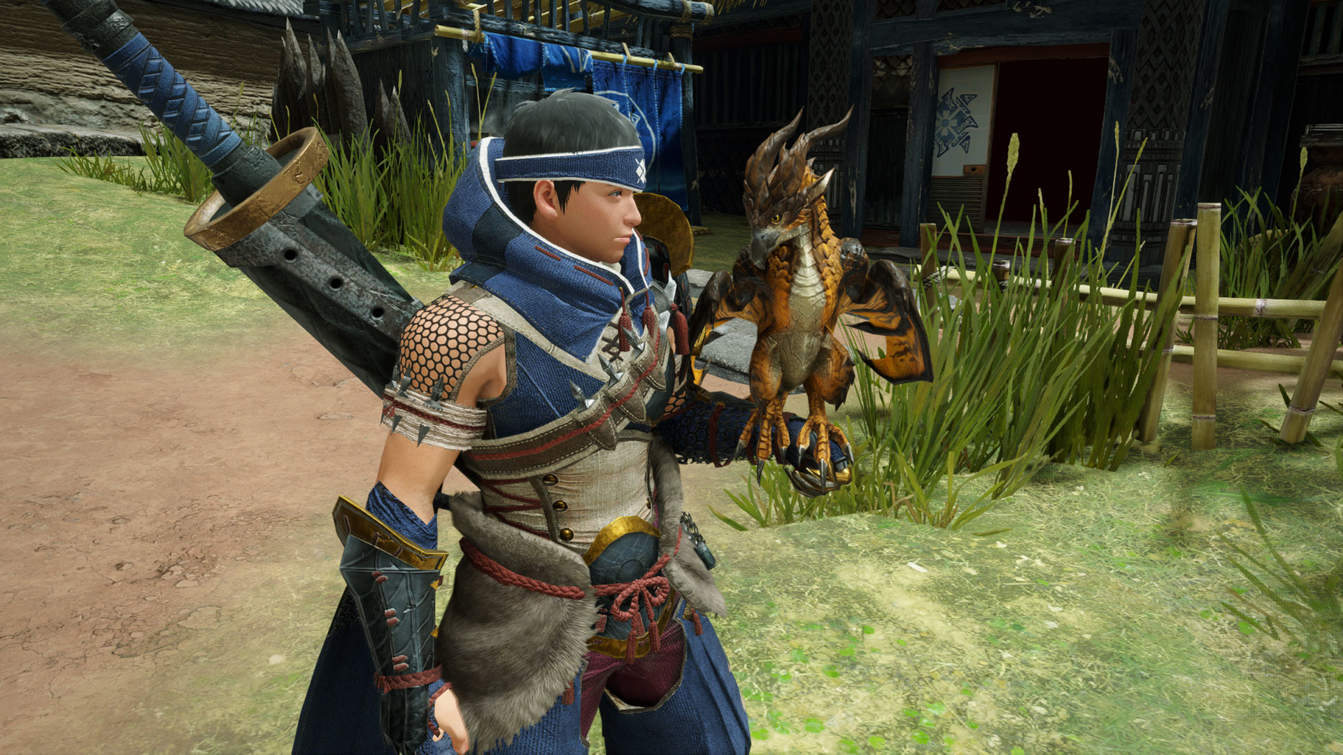 MONSTER HUNTER RISE - "Li'l Wingdrake" Cohoot outfit Featured Screenshot #1