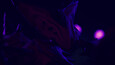 Screenshot #7