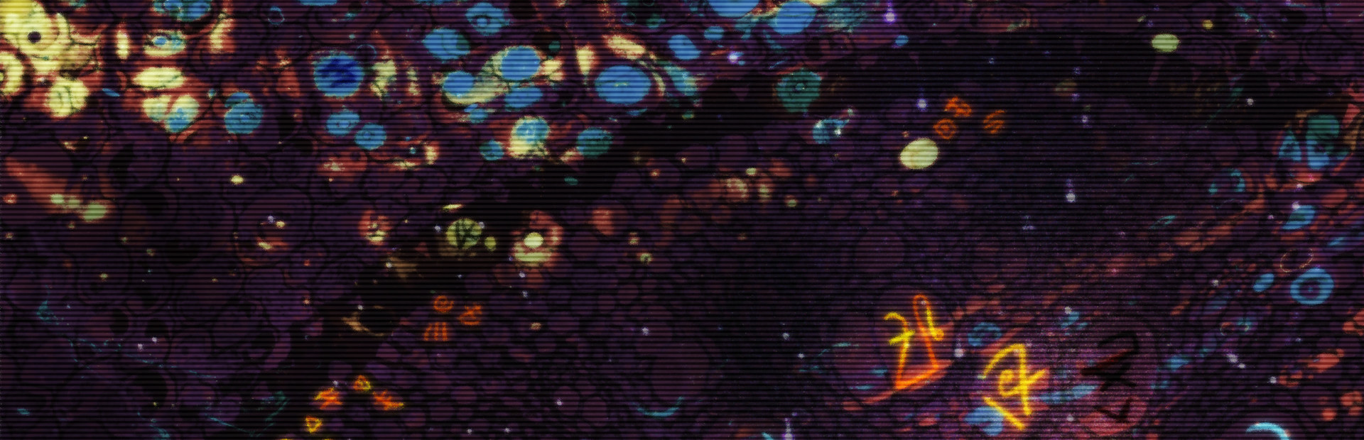 Deadnaut: Signal Lost