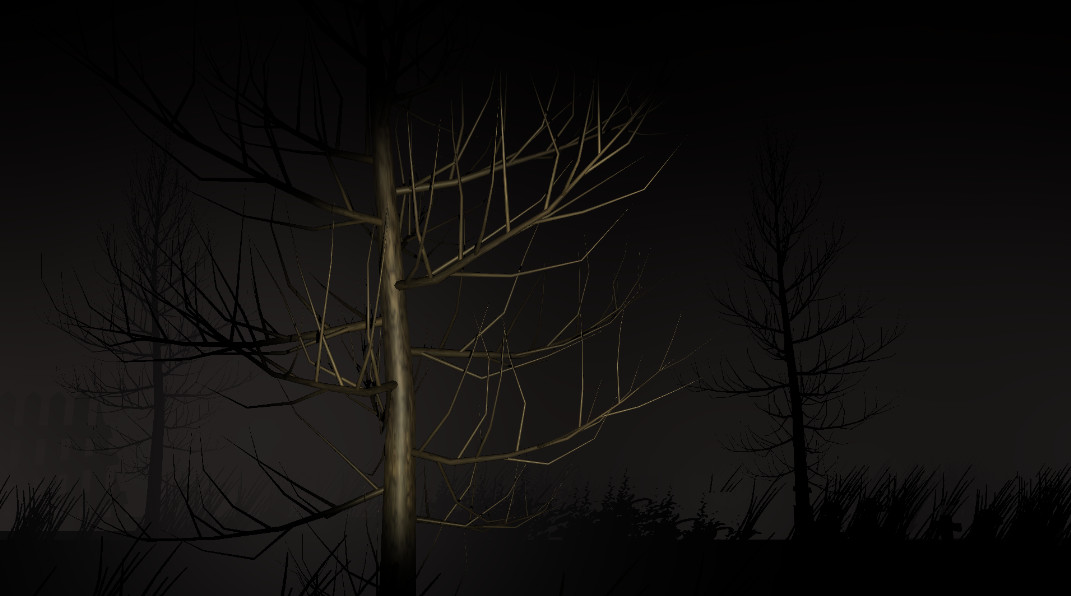 Mysterious Night (The First Night)