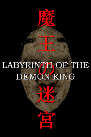 Cover art of Labyrinth Of The Demon King