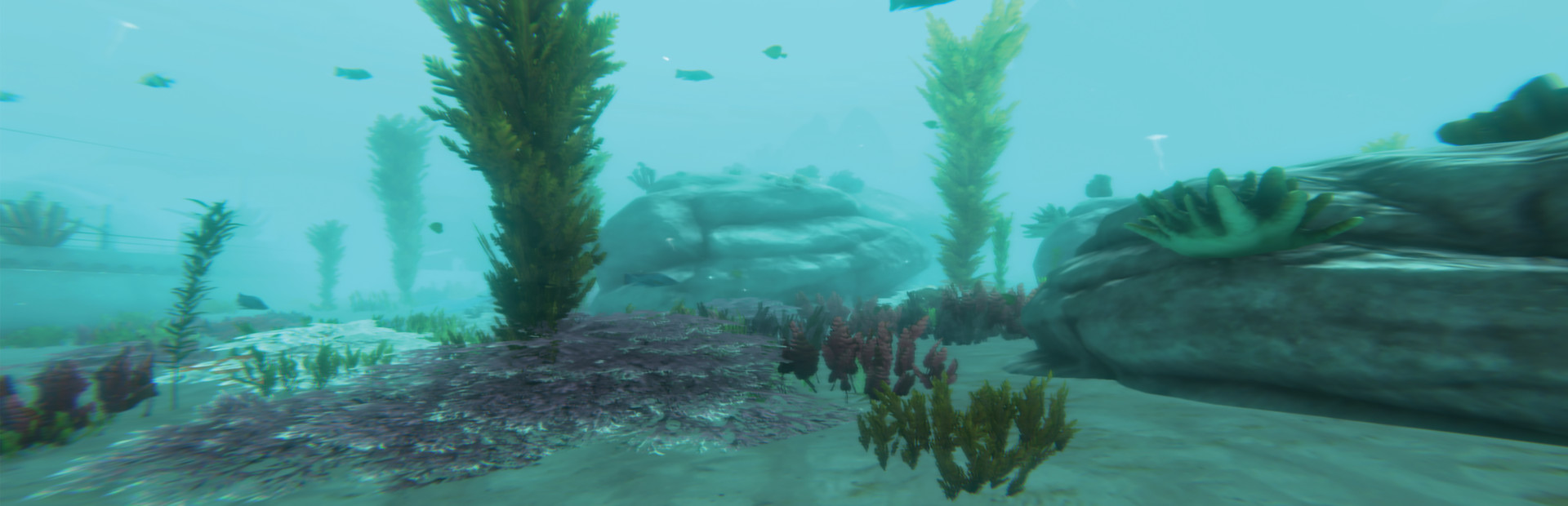 Alpha Shark