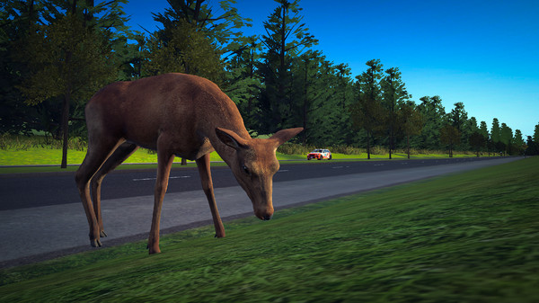 Street Sense screenshot 4