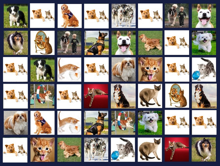 Memory Lost-Pairs - Animals