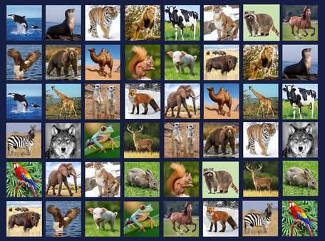 Memory Lost-Pairs - Animals