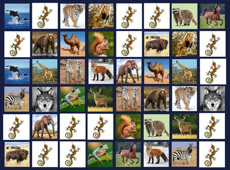 Memory Lost-Pairs - Animals